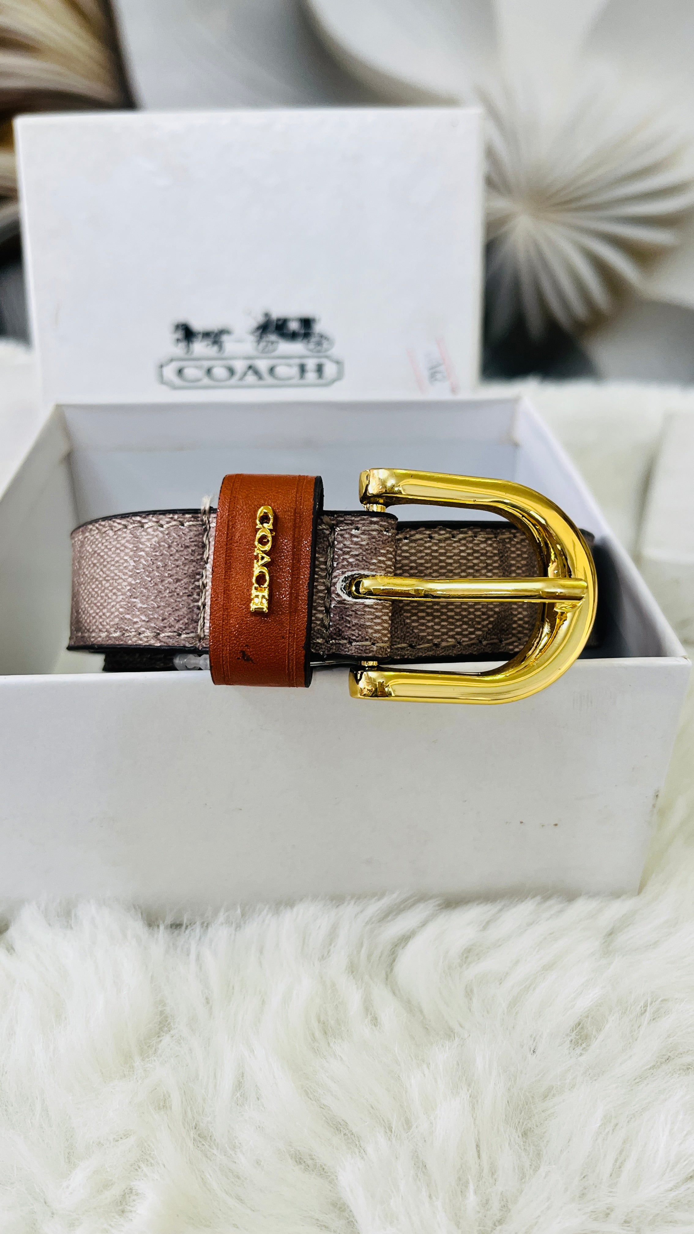 Coa slim belt for women