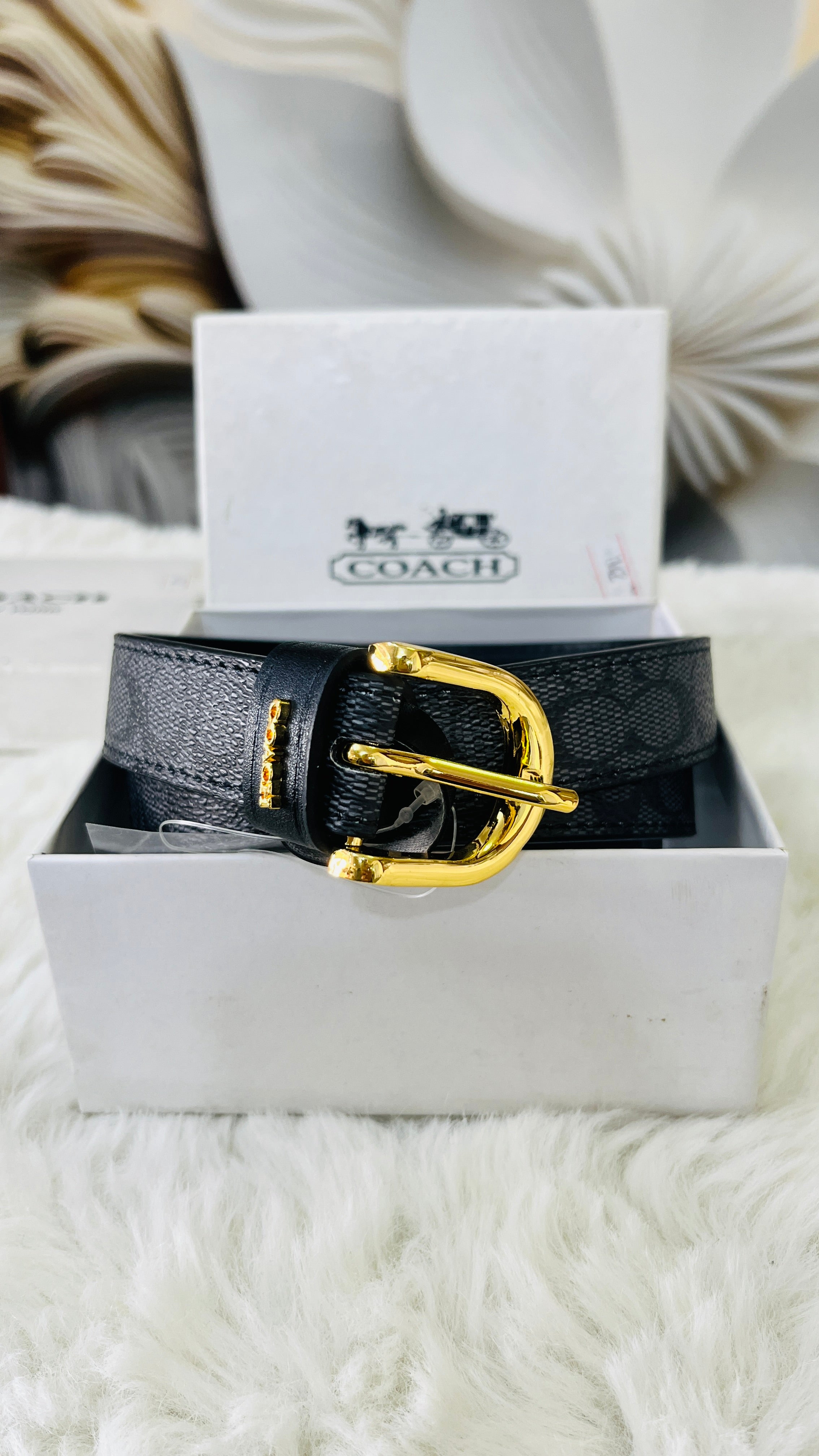 Coa slim belt for women