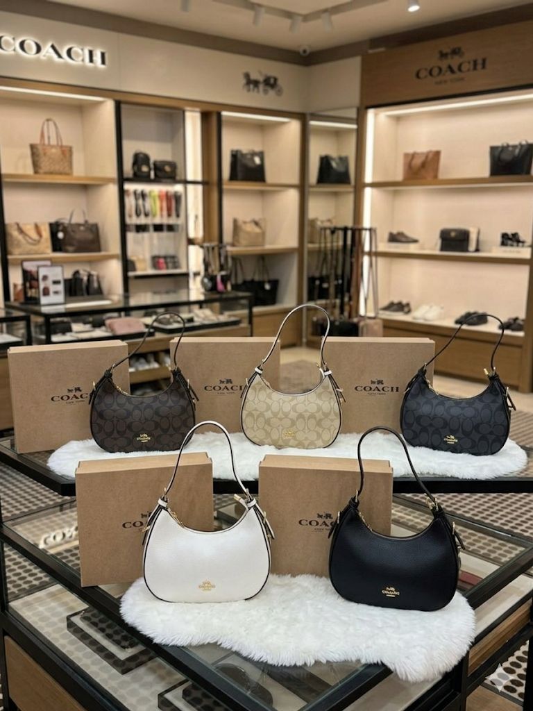 Coa hobo bag with brand box