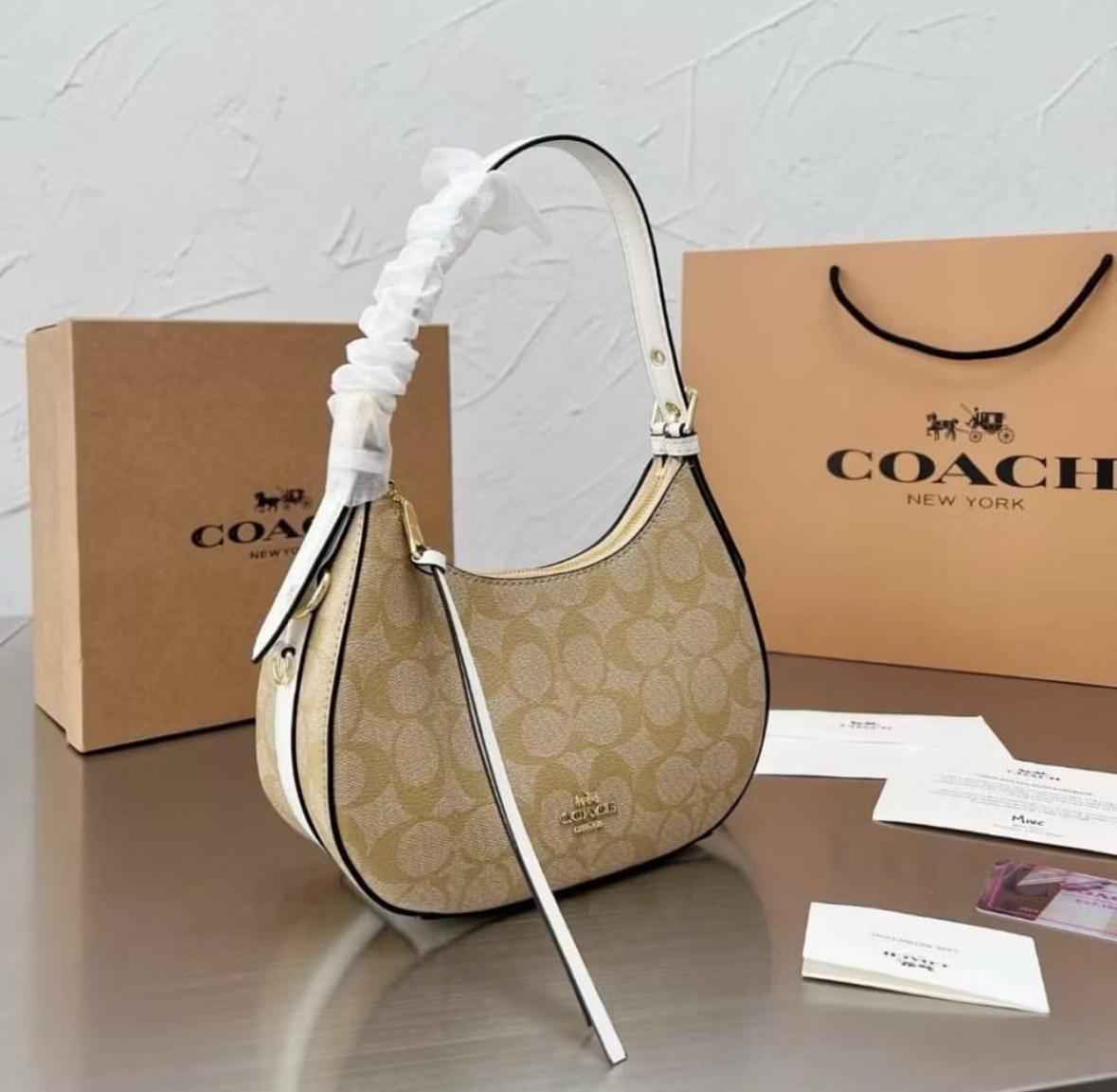 Luxury hobo bag with brand box