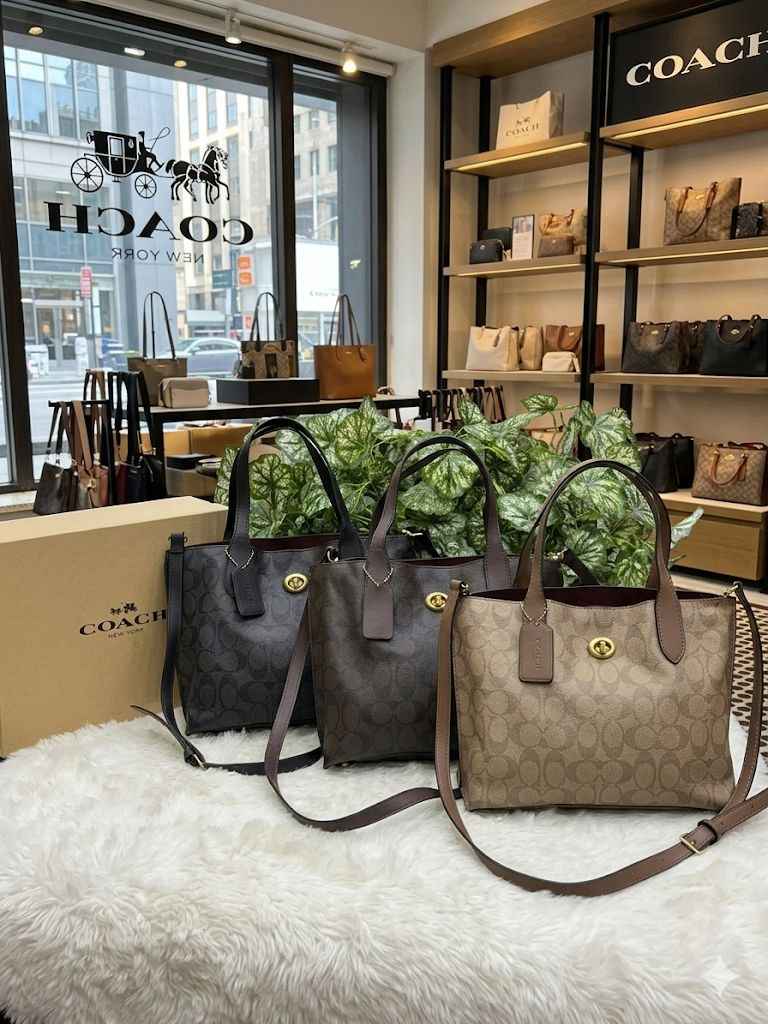 Luxury Coach Willow Tote Bag for Women