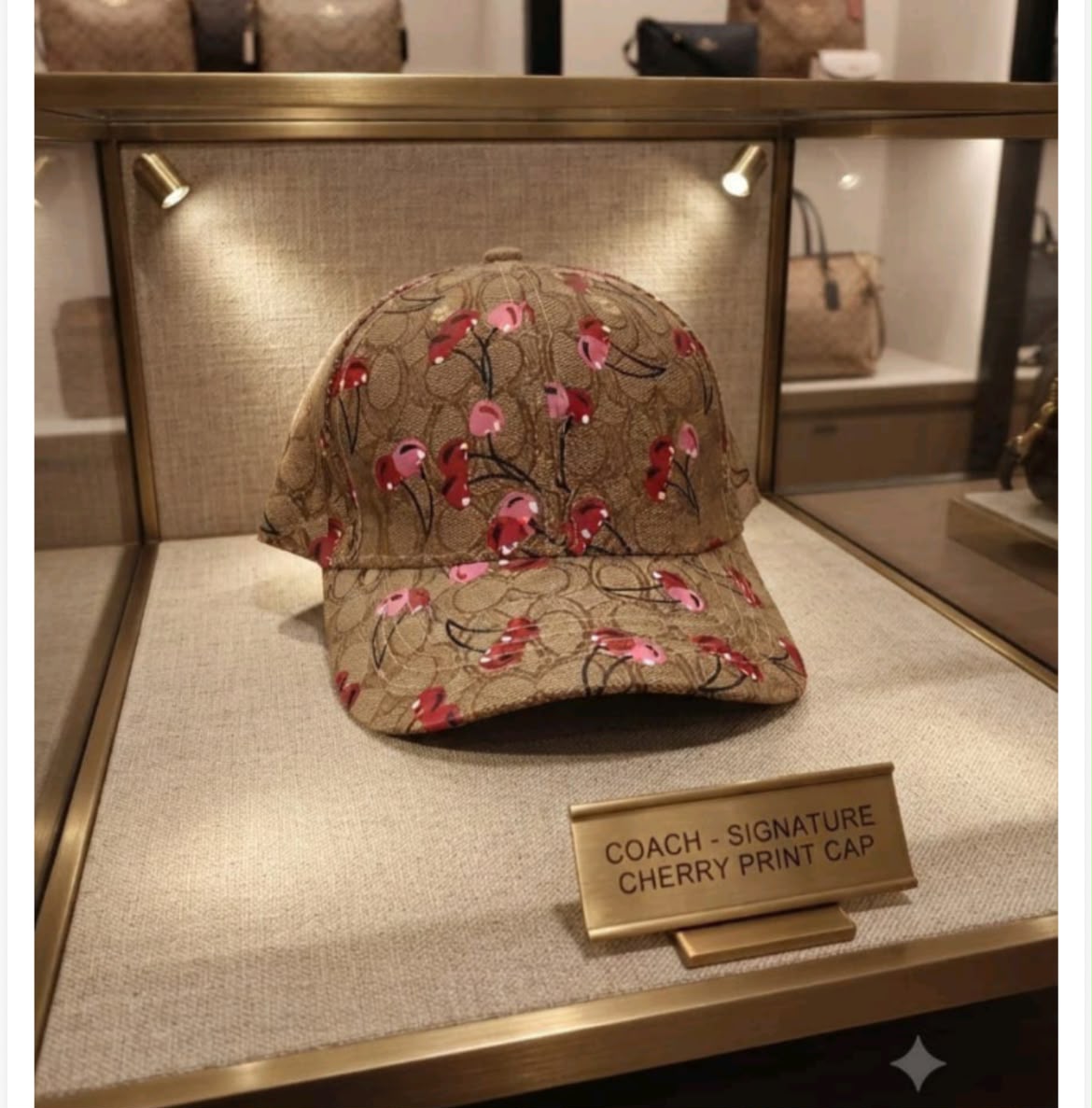 Luxury unisex top notch quality baseball caps (set of 2 caos
