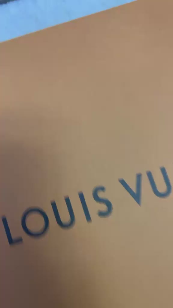 Load video: Lou Luxury Style Men’s Shoes
