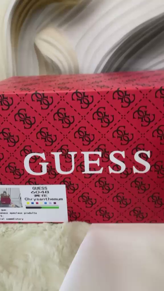 Load video: Luxury speedy bag